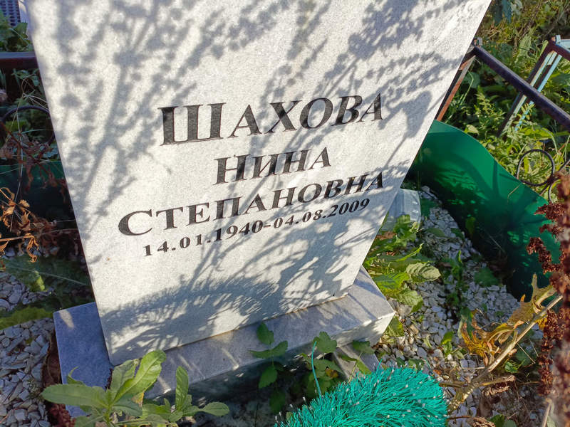 Шахова
