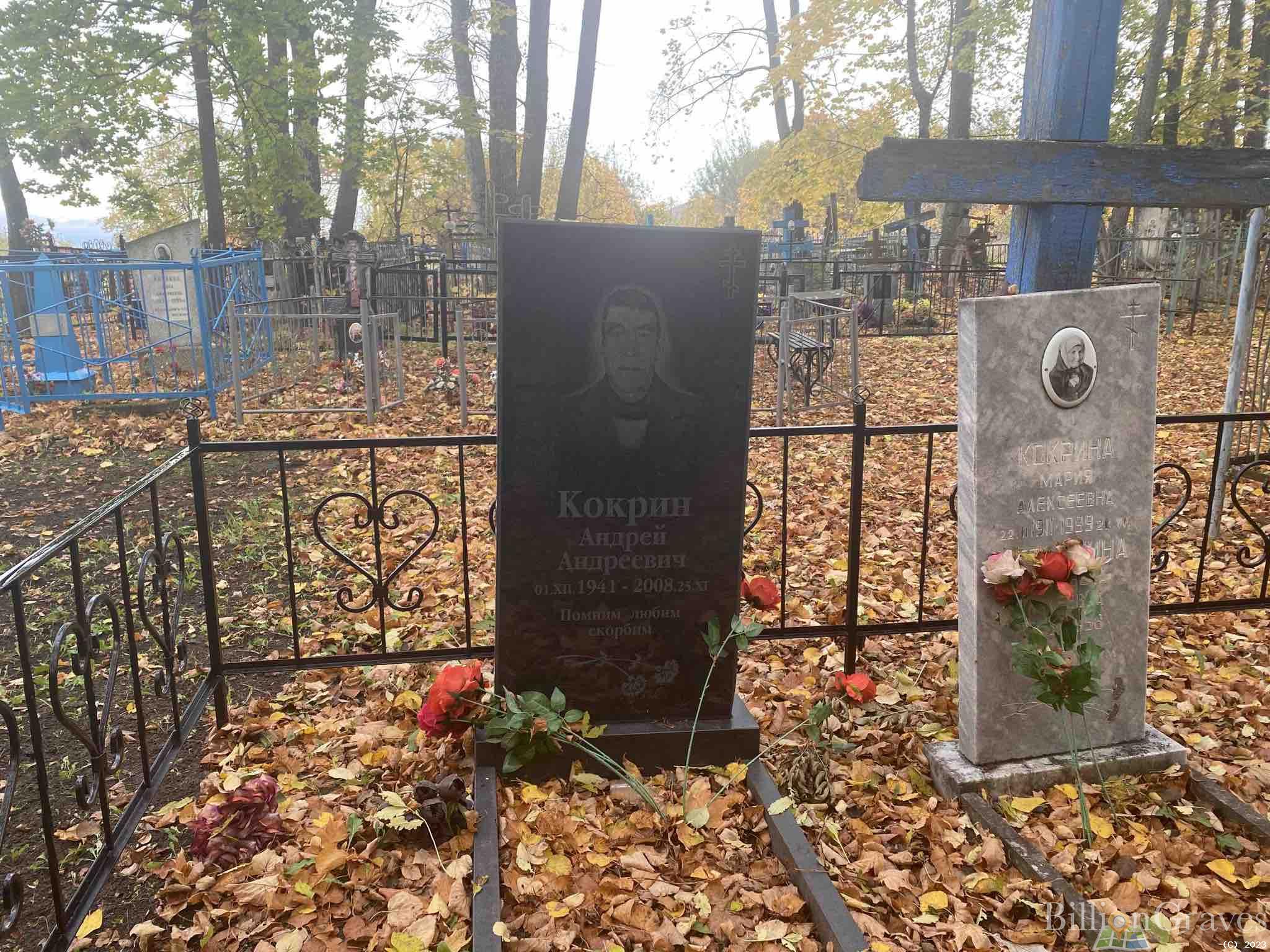Кокрин Андрей Андреевич