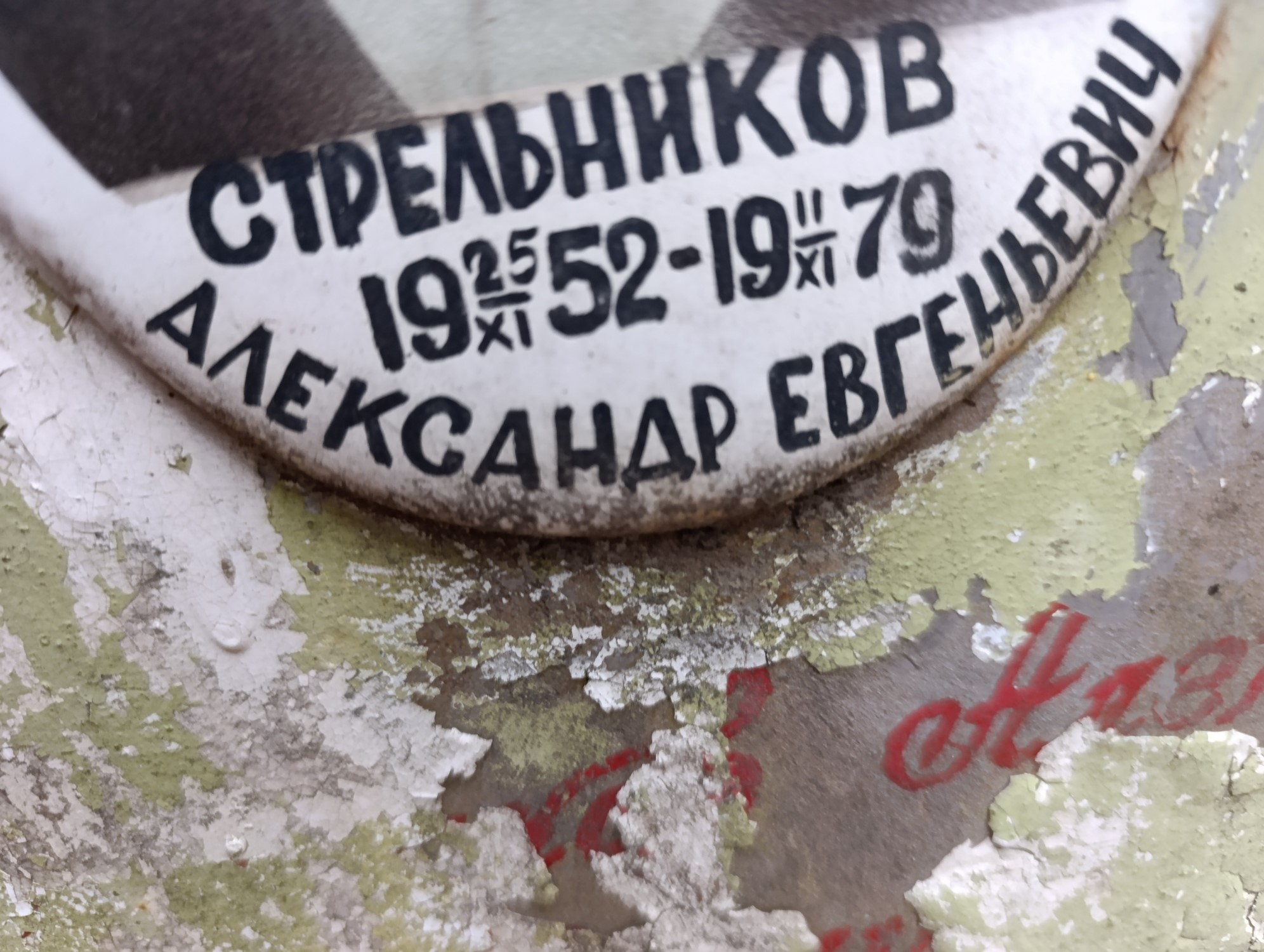 Стрельников Александр Евгеньевич