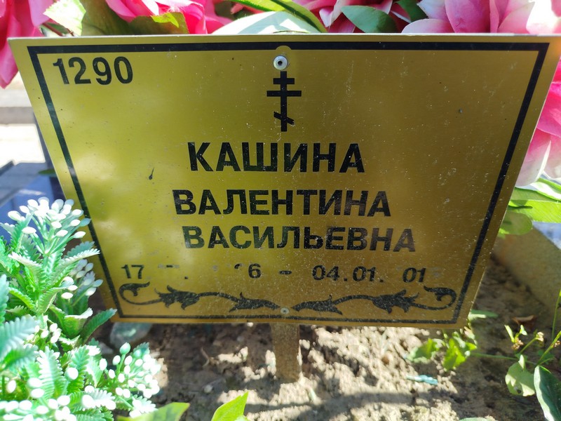 Кашина
