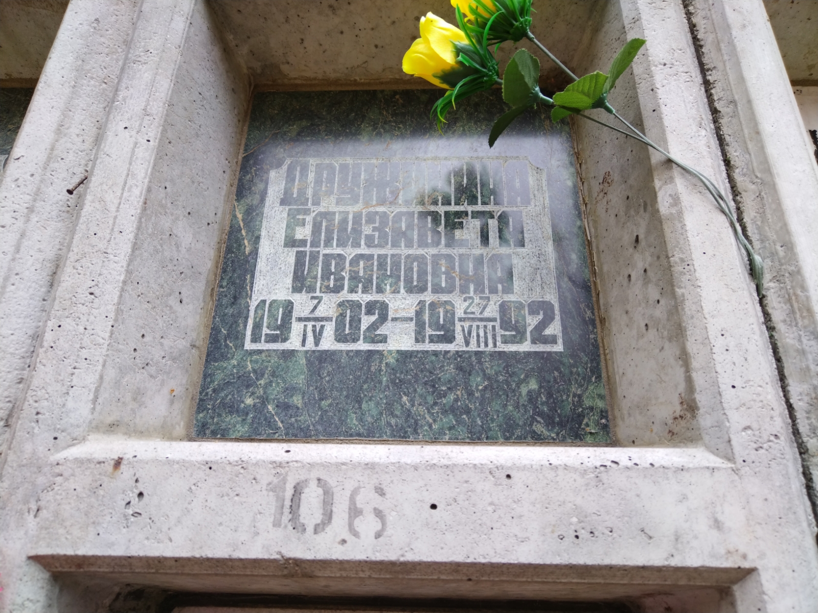 Дружинина Елизавета Ивановна