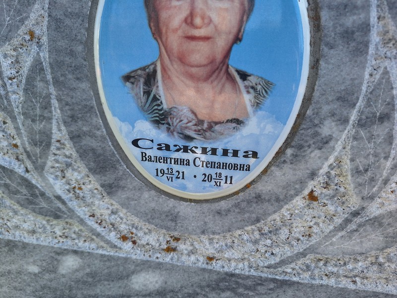 Сажина