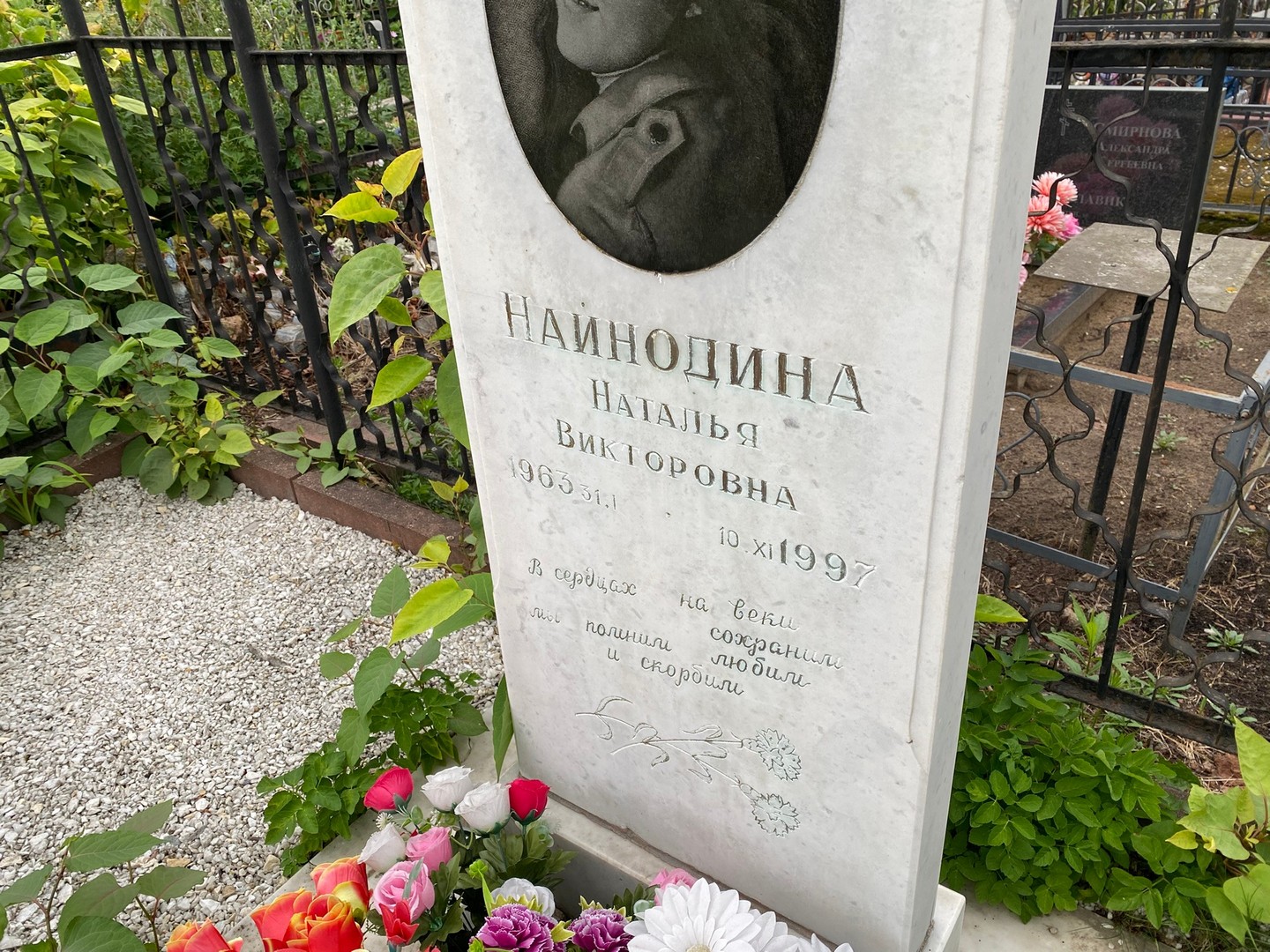 Наинодина
