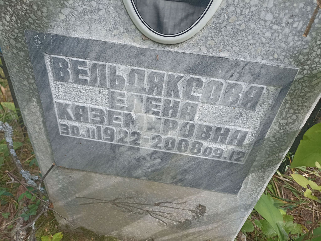 Вельдяксова Елена Каземировна