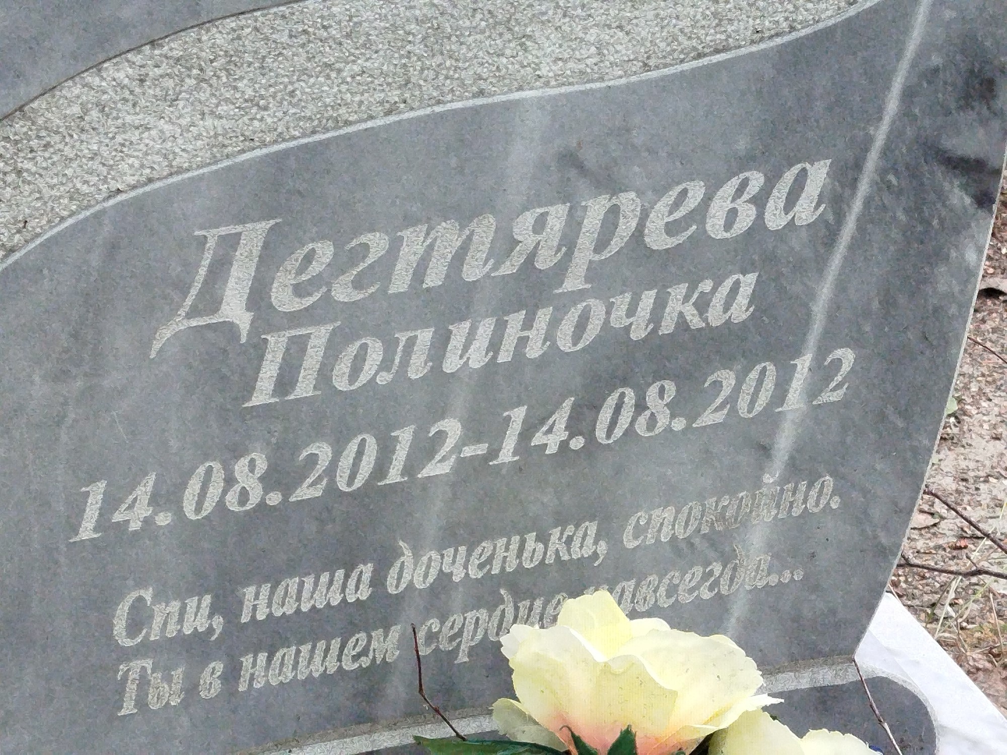 Дегтярева Полина