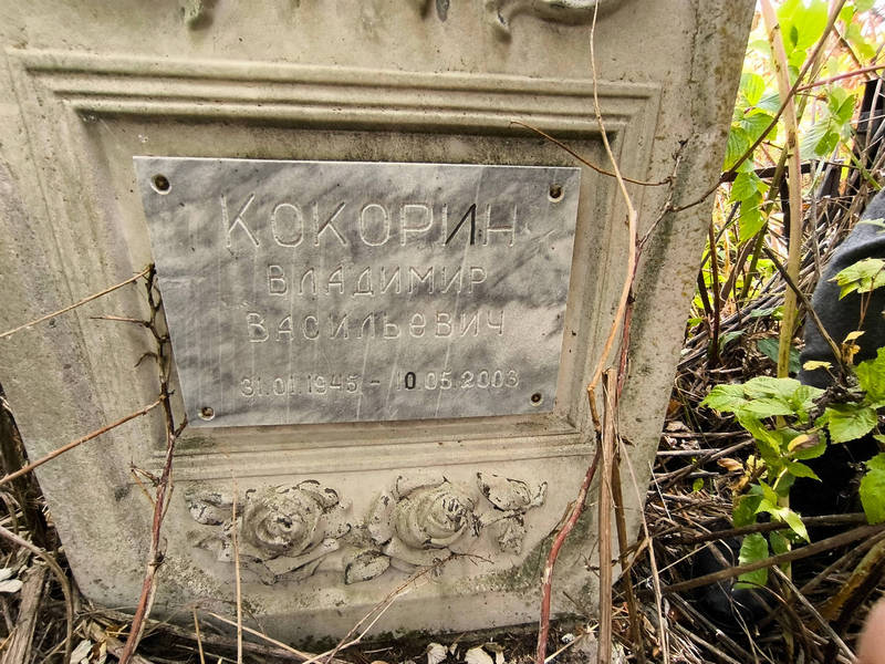Кокорин