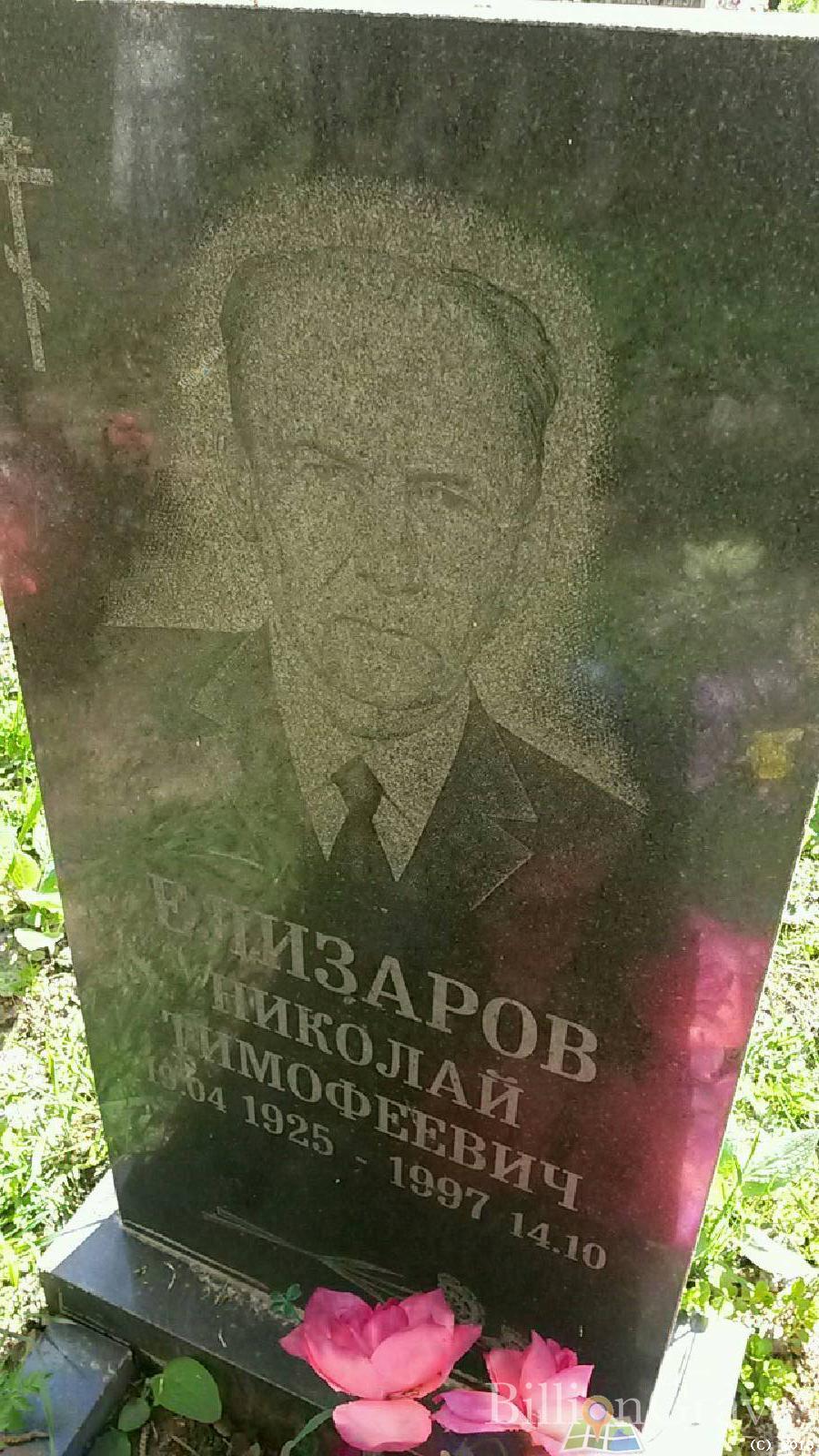 елизаров николай тимофеевич
