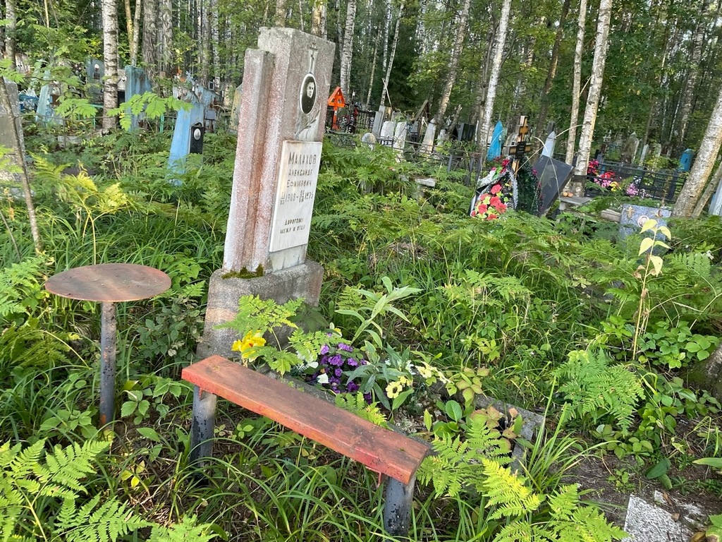 Малахов Александр Ефимович