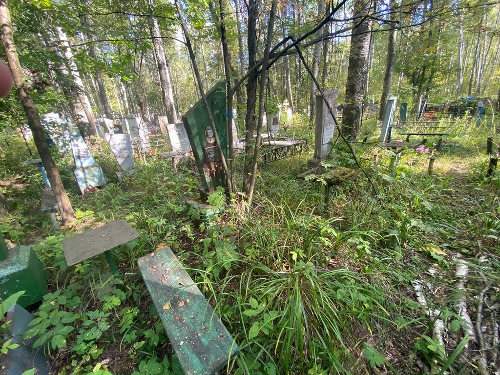 Бадянова Полина Васильевна