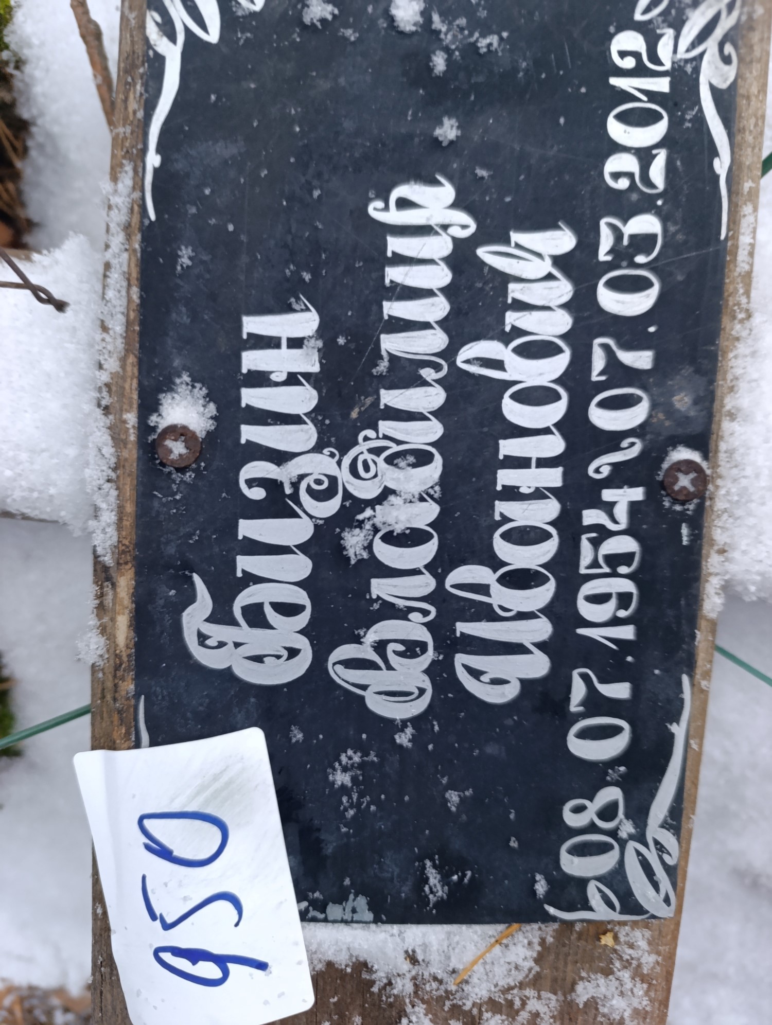 Бизин Владимир Иванович