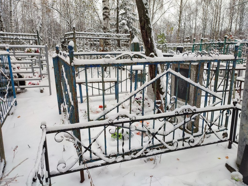 Никитин Сергей Александрович