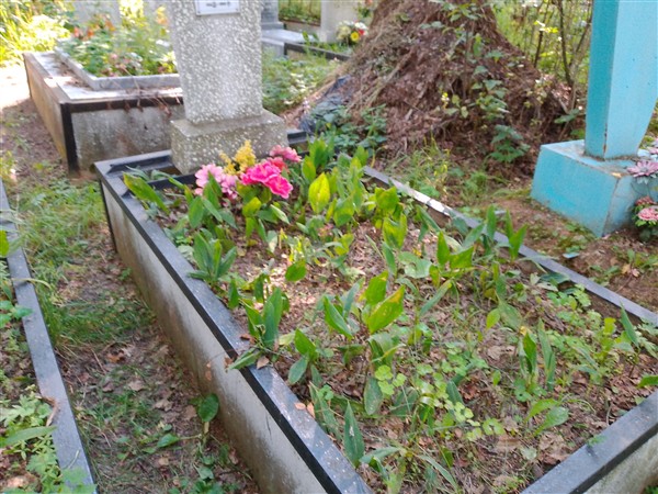 Соловьева Мария Николаевна