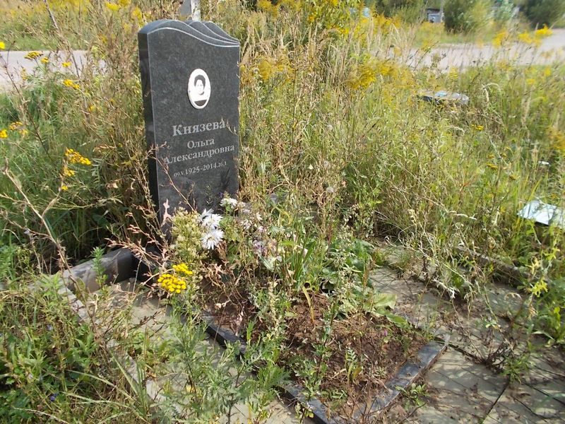 Князева Ольга Александровна