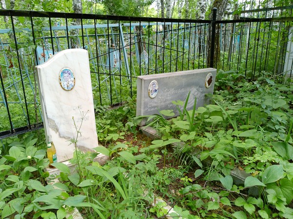 Непомнящий Александр Дмитриевич