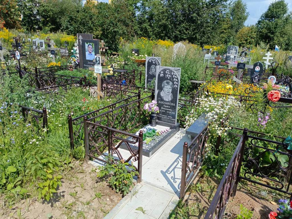 Баклыкова Лариса Витальевна