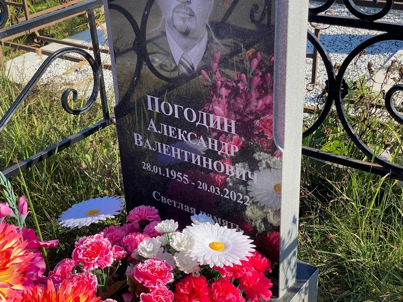Погодин