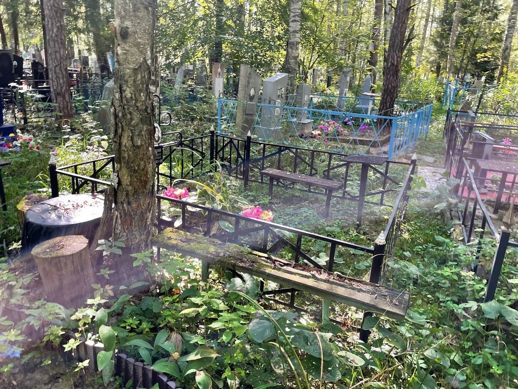 Макарова Александра Алексеевна