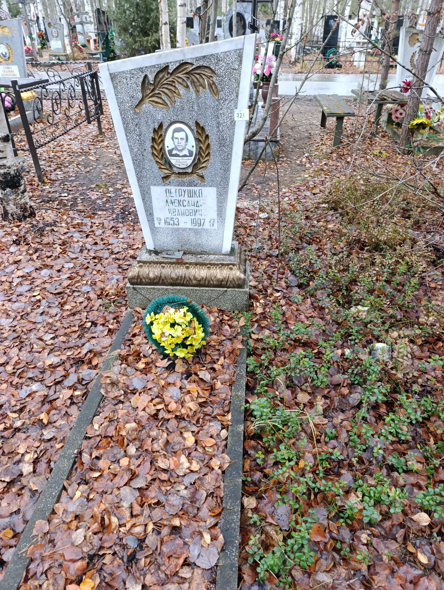 Петрушко Александр Иванович