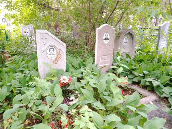 Евдокимова Надежда Васильевна