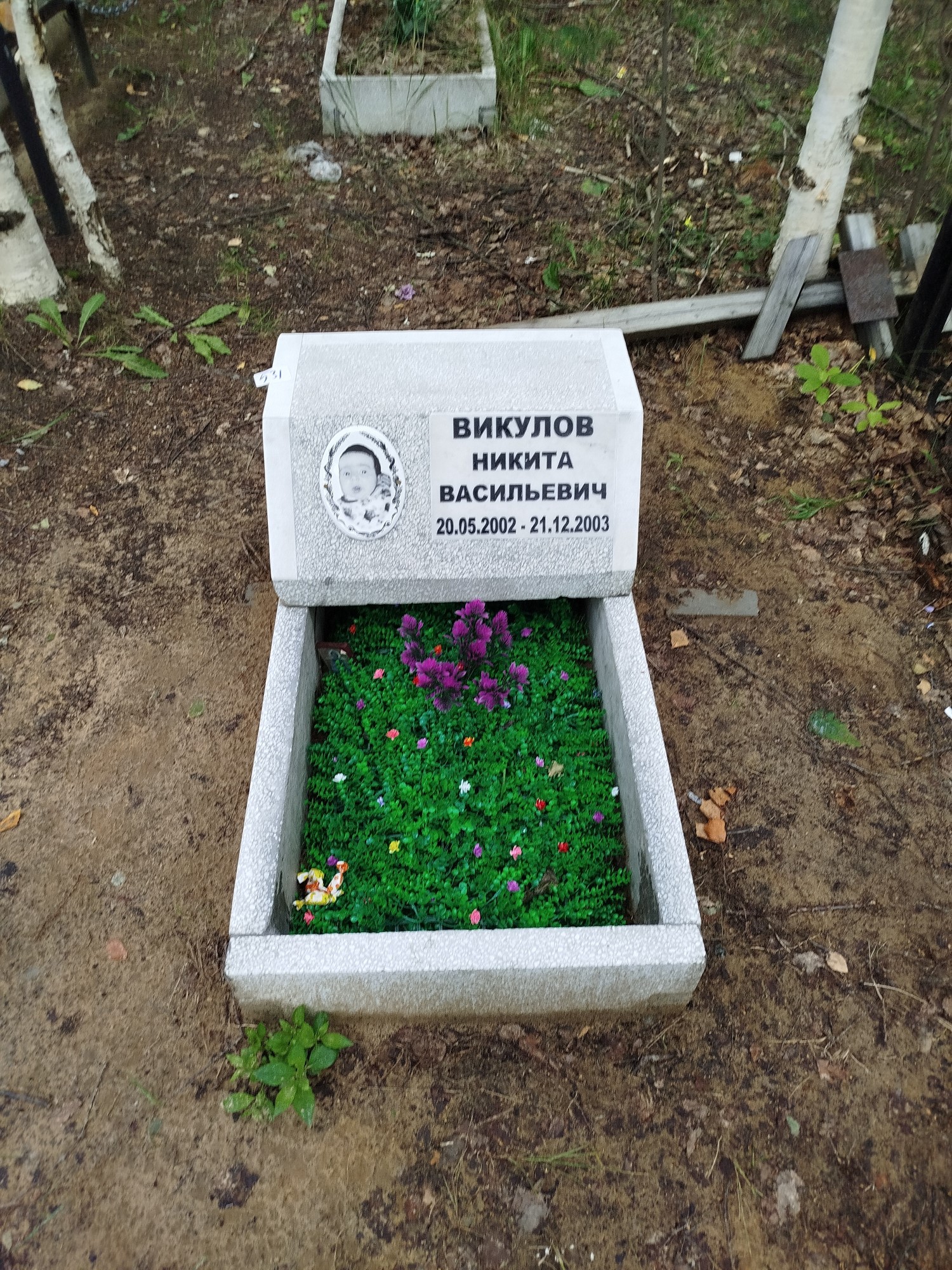 Викулов Никита Васильевич
