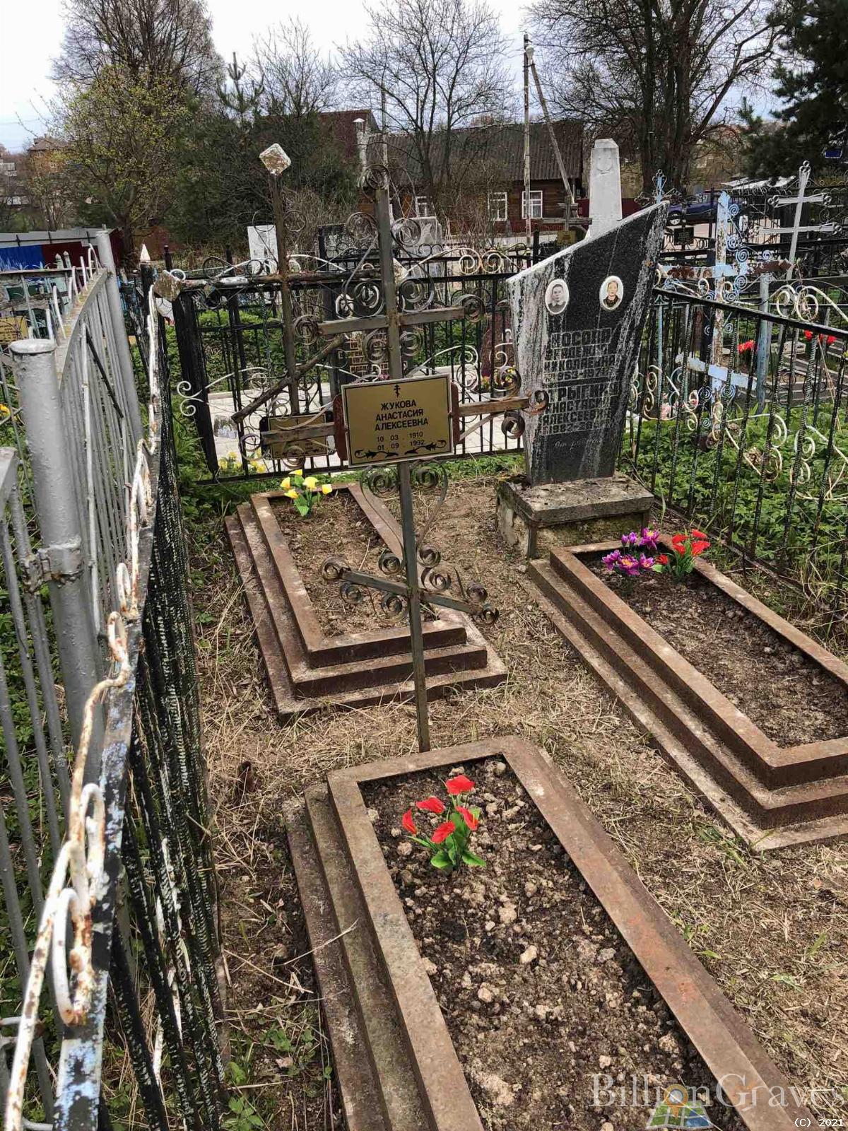 Стрыгина Анастасия Алексеевна