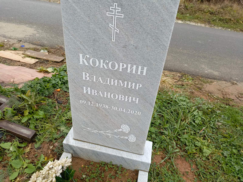 Кокорин