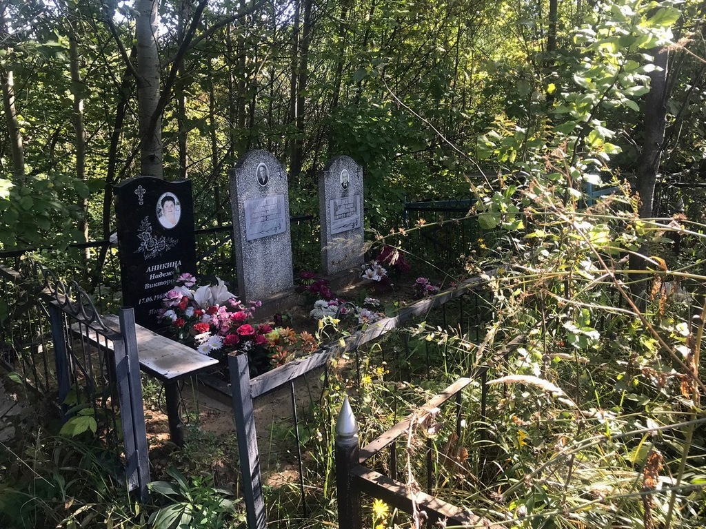Аникина Олимпиада Михайловна
