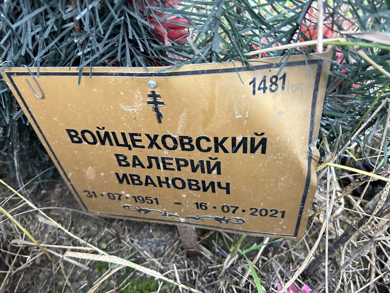 Войцеховский