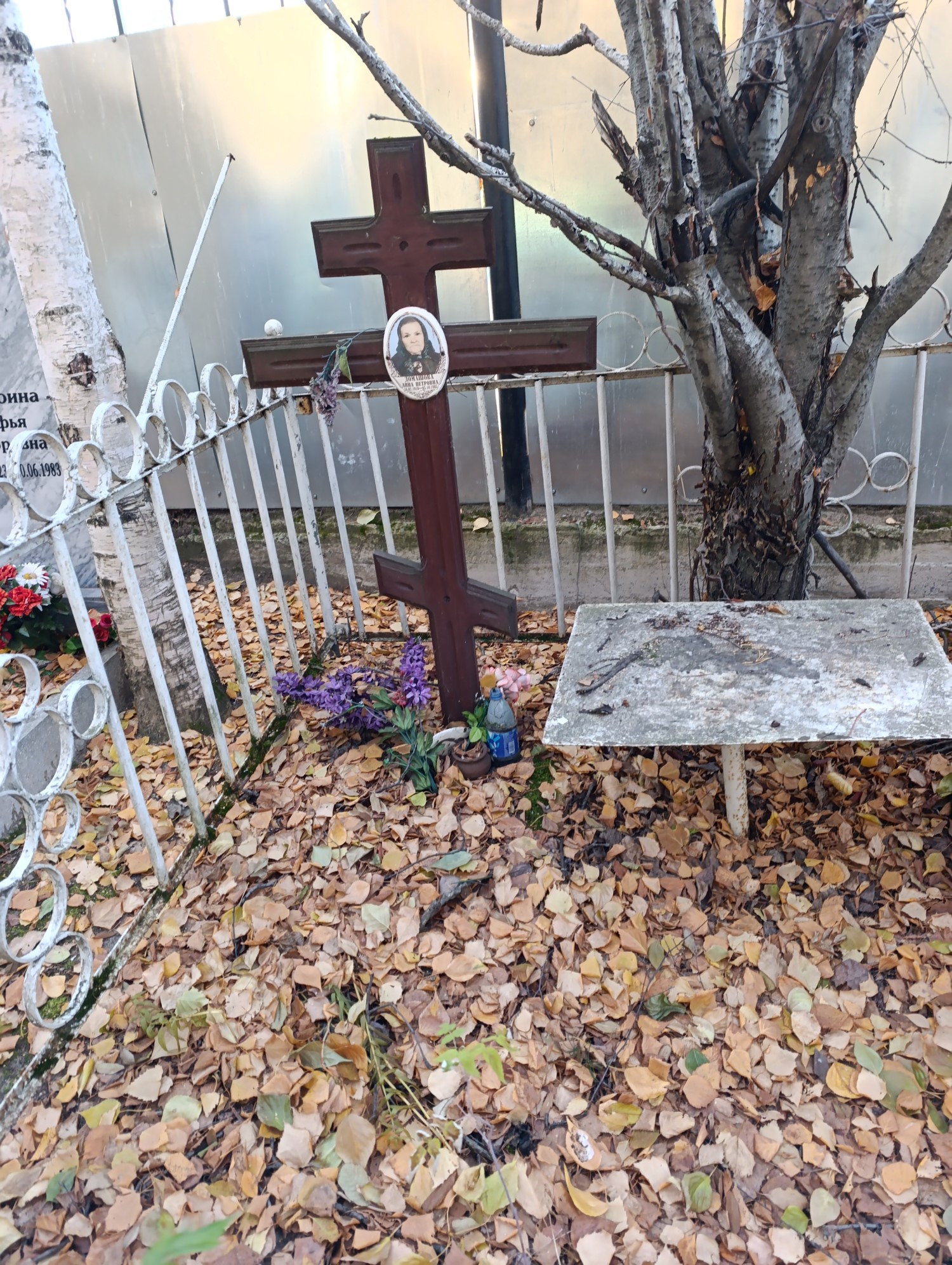 Домашова Анна Петровна