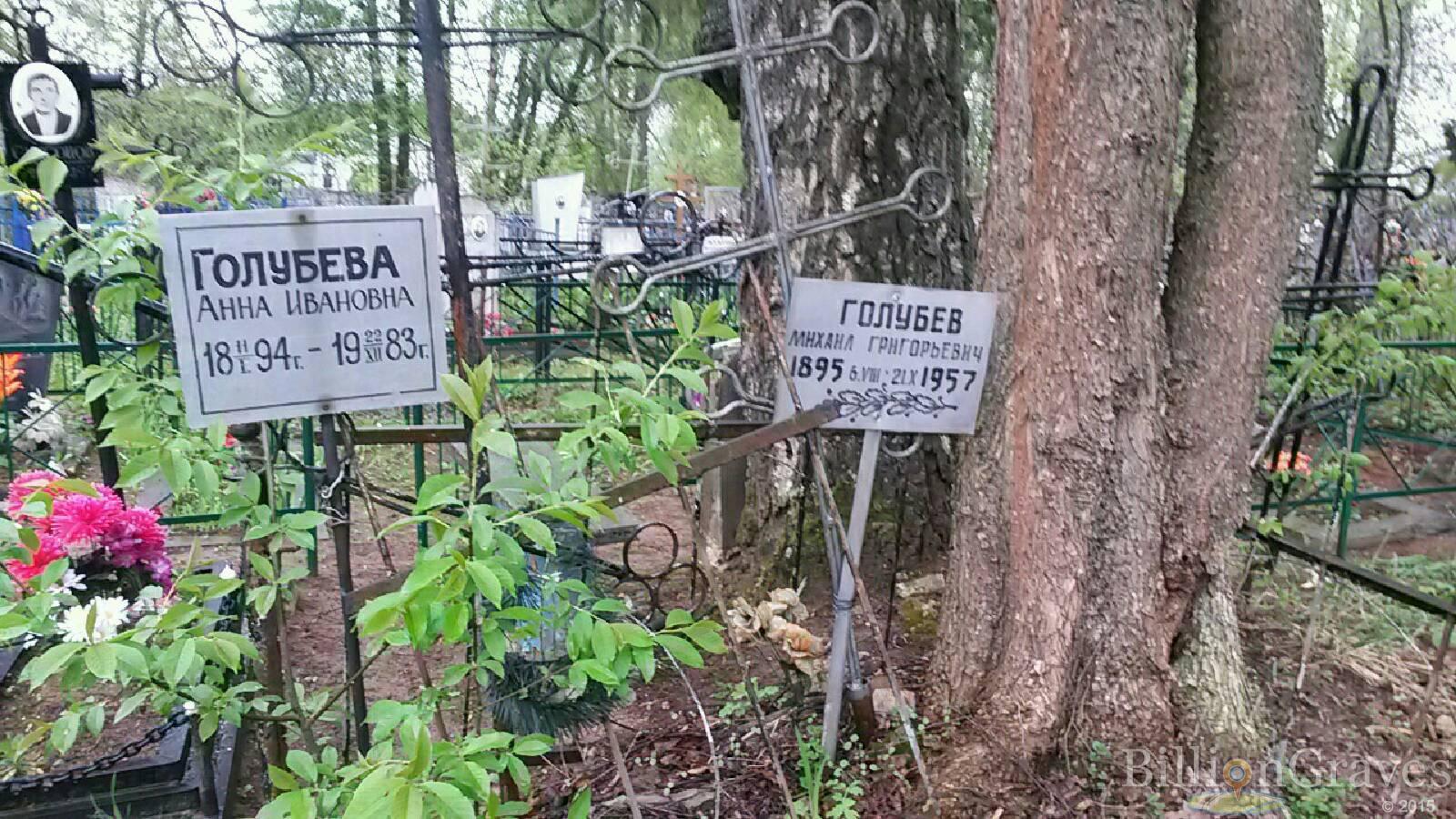 голубева анна ивановна