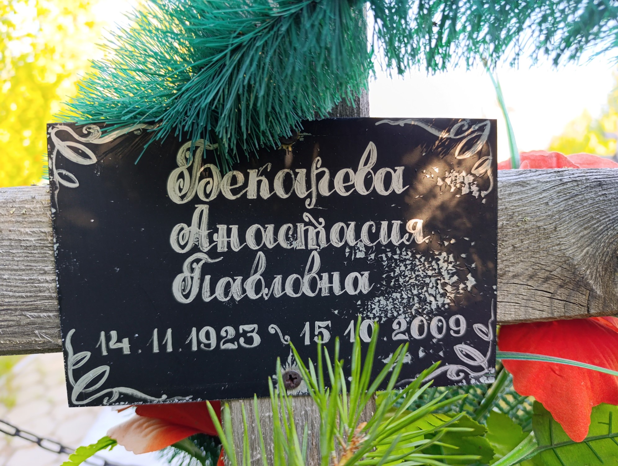 Бекарева Анастасия Павловна