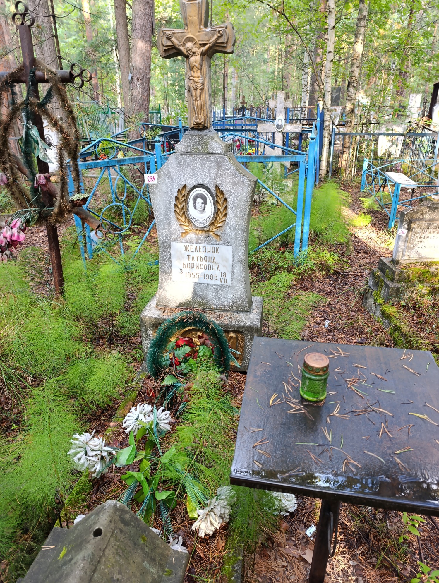 Железняк Татьяна Борисовна