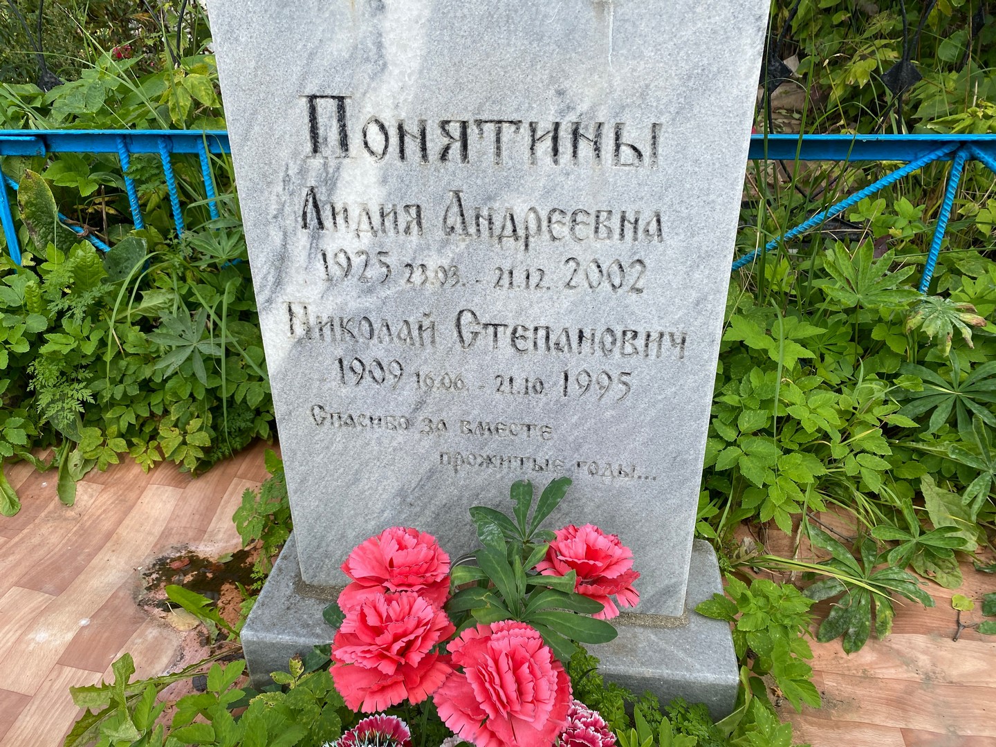 Понятина