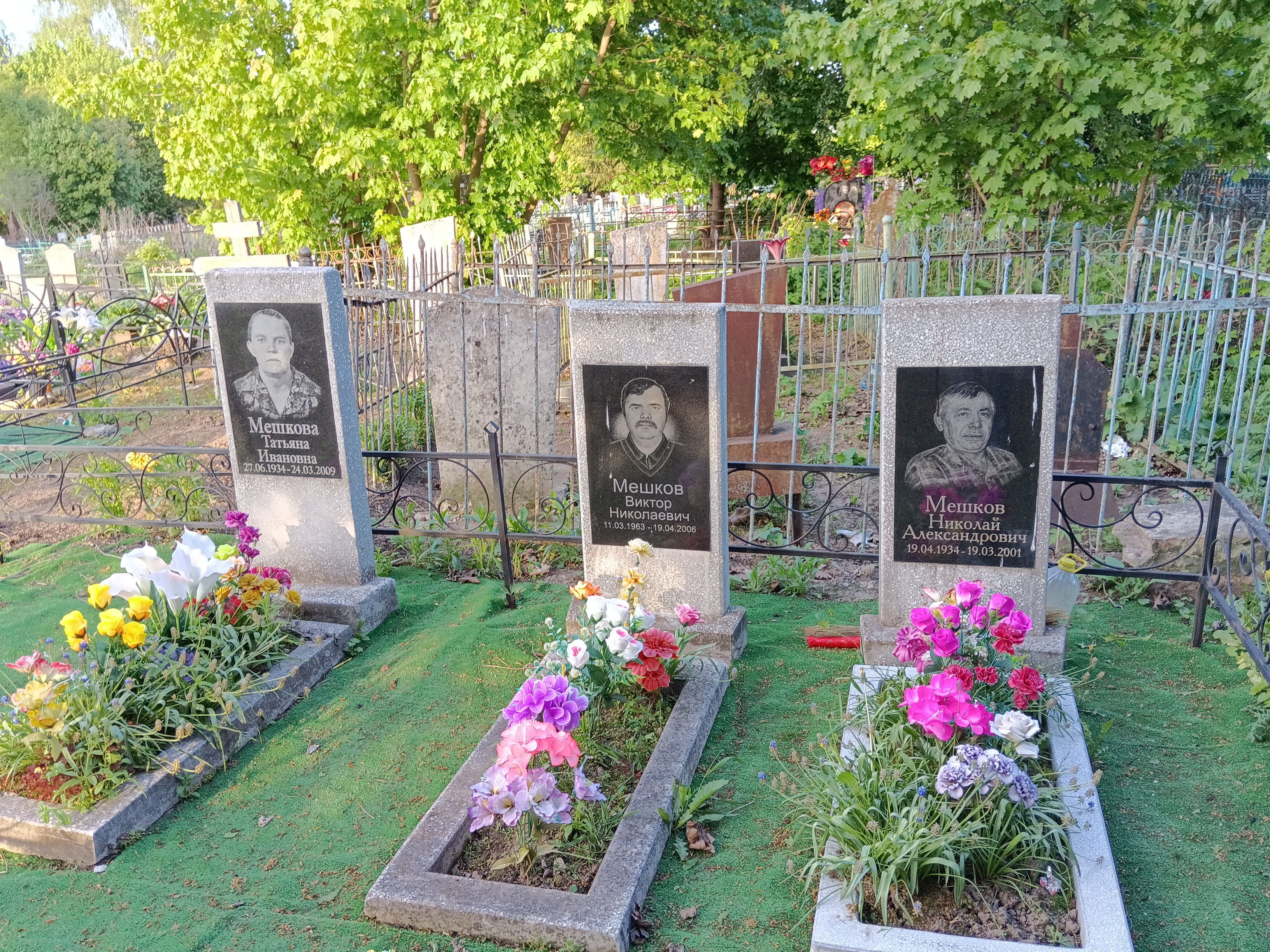 Мешков Виктор Николаевич