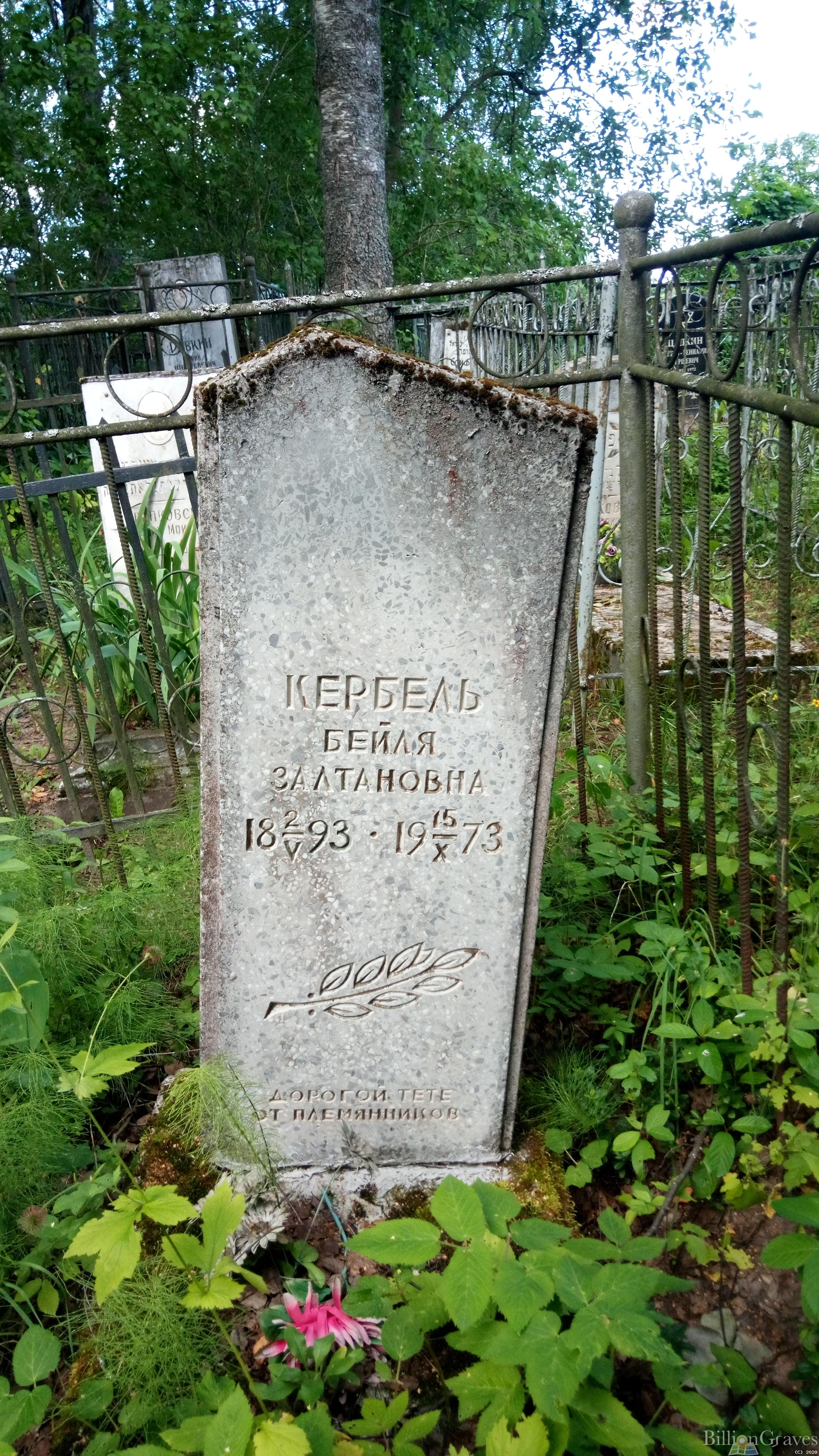 Кербель Бейля Залтановна