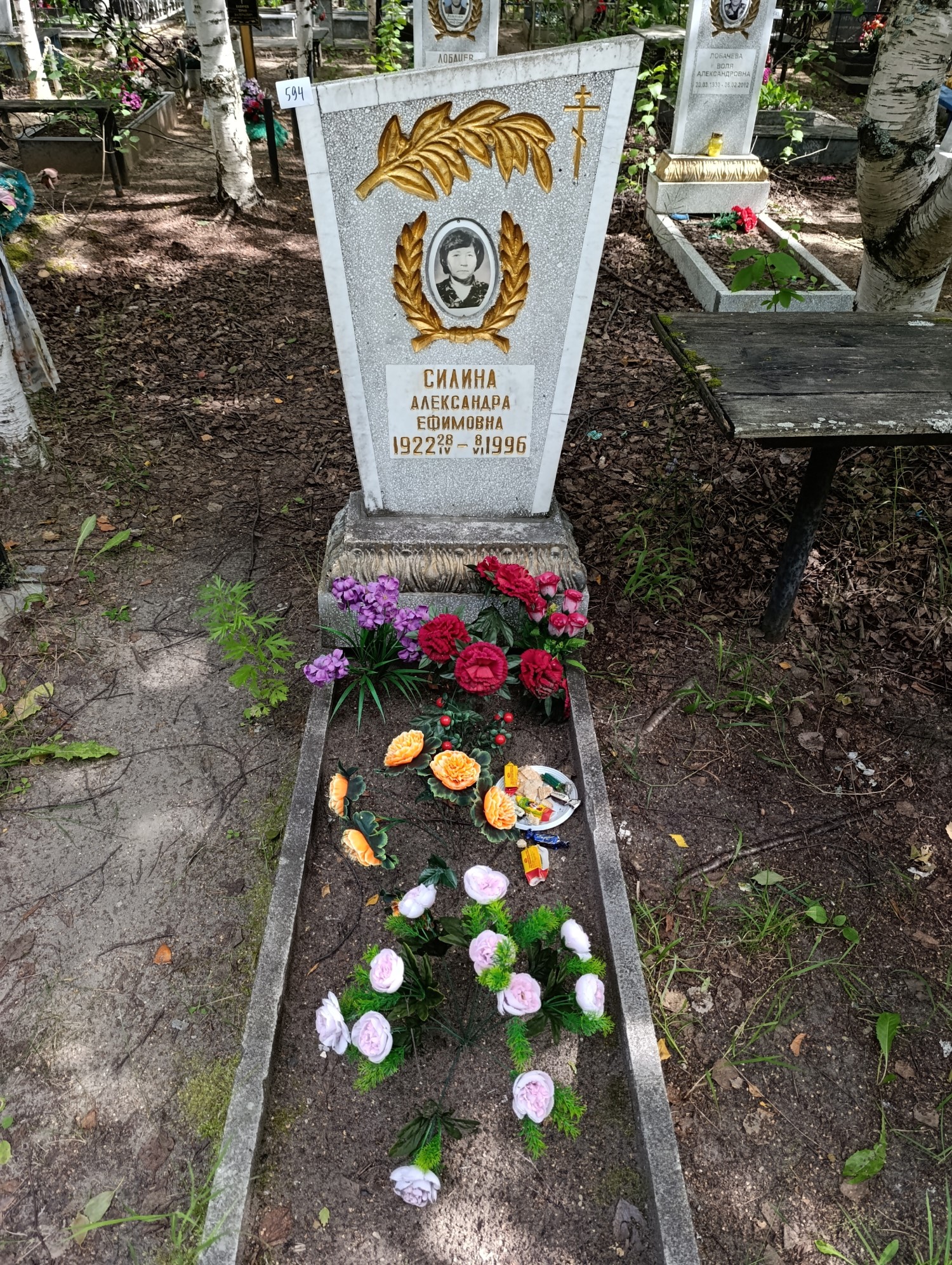 Силина Александра Ефимовна