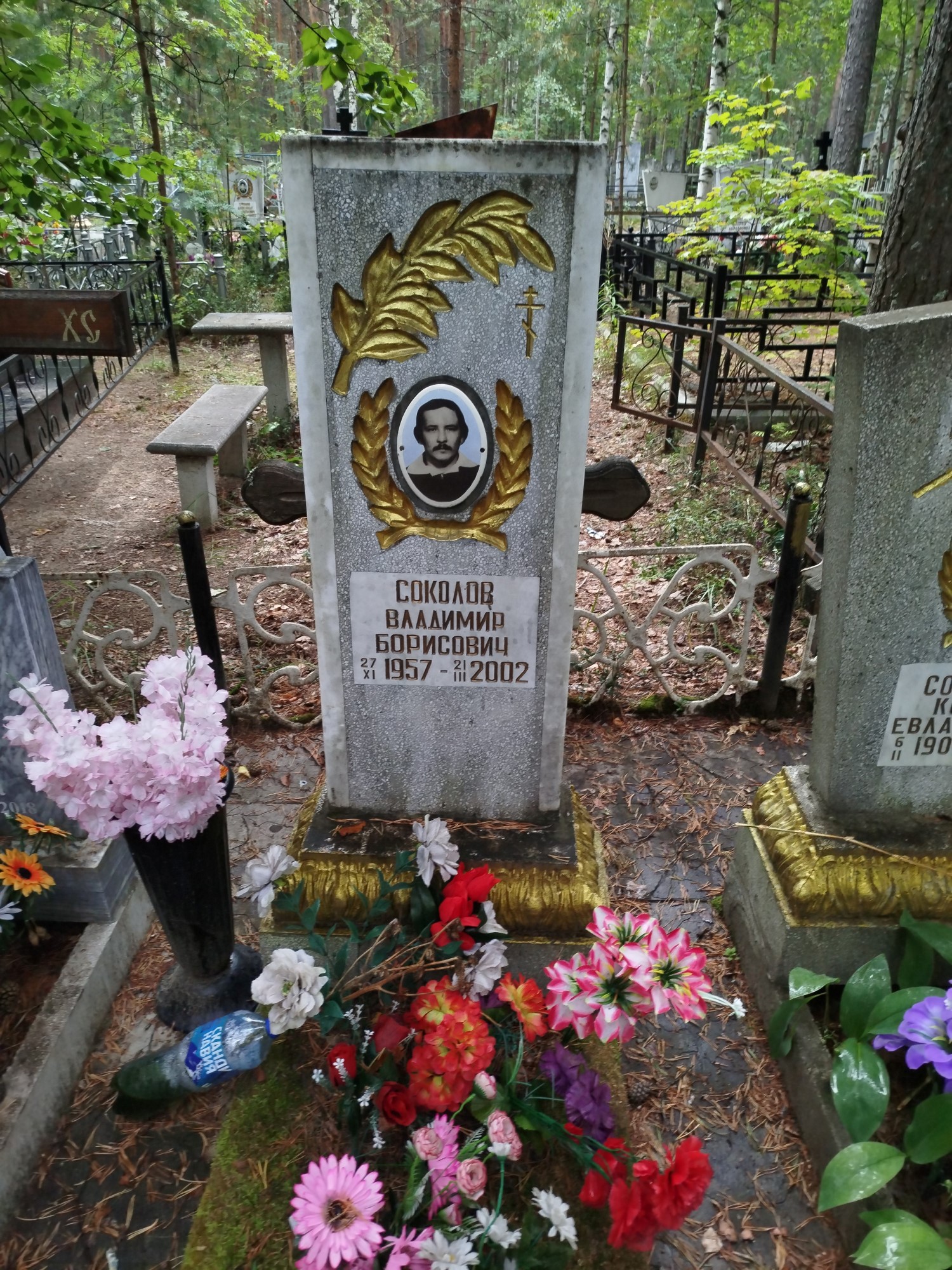 Соколов Владимир Борисович