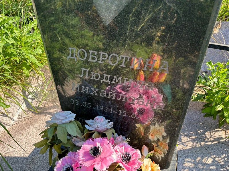 Добротина