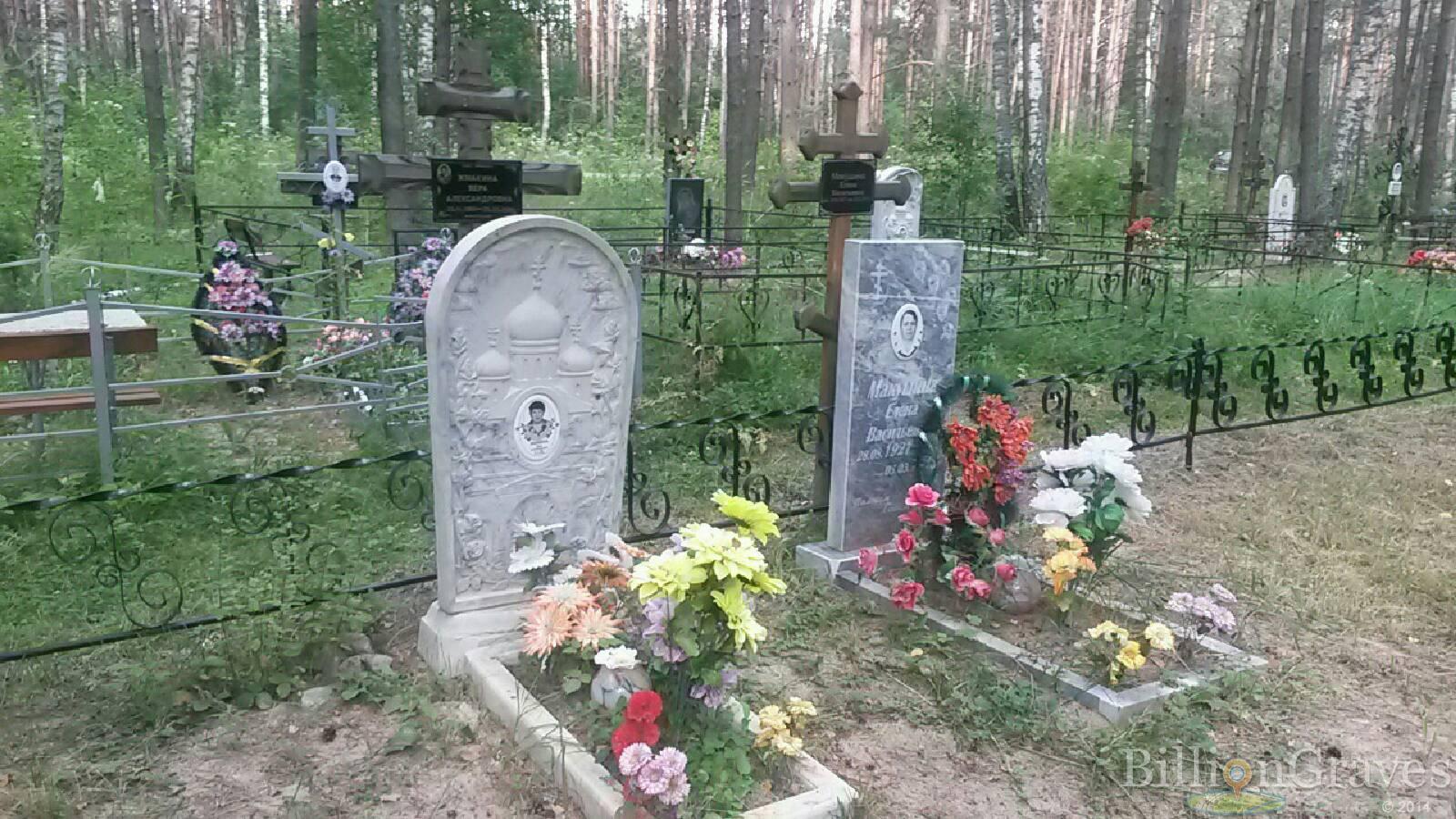 Жмакина Вера Александровна