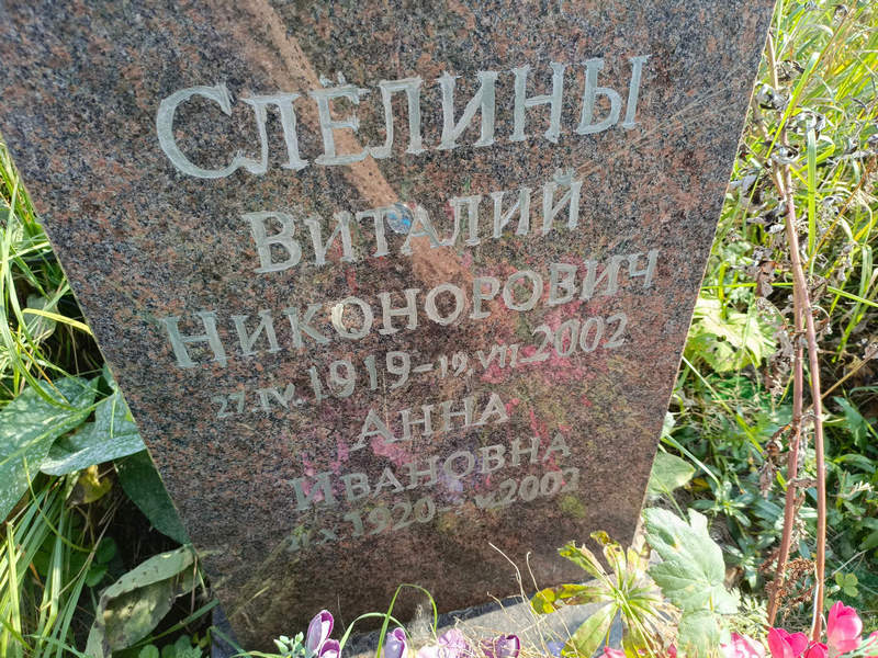 Слелин