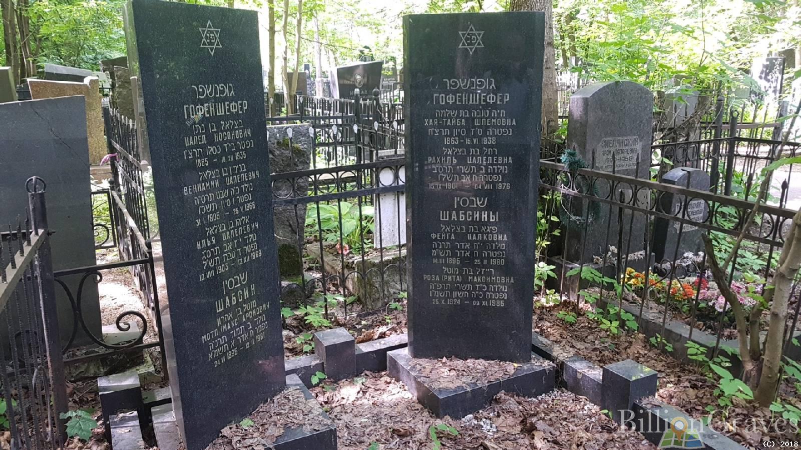 Гофеншефер גופנשפר Рахиль Цалелевна