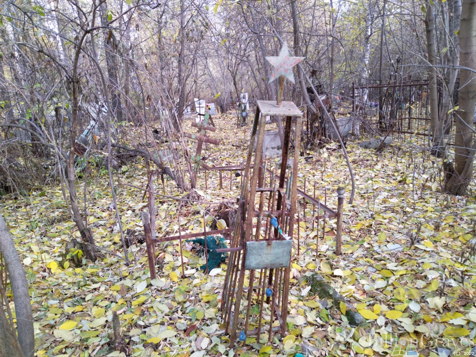 Константинова Юлия Николаевна