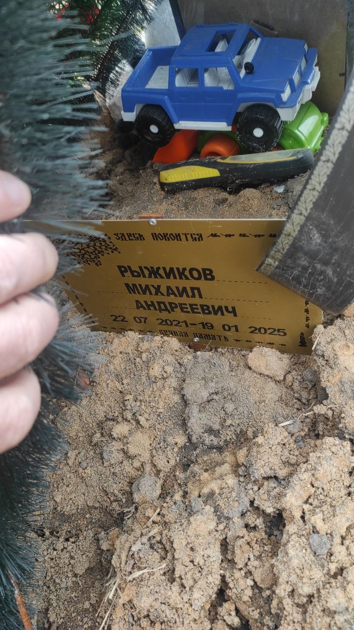 Рыжиков