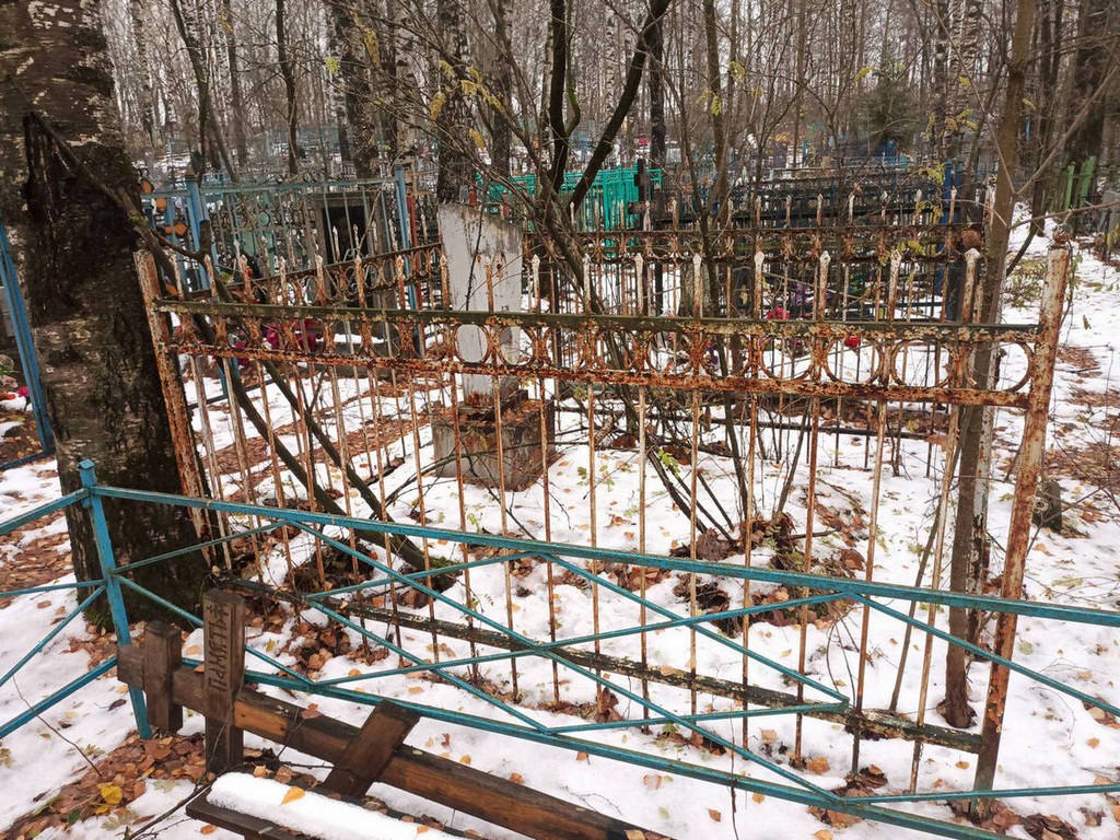Погодина Дарья Ефимовна