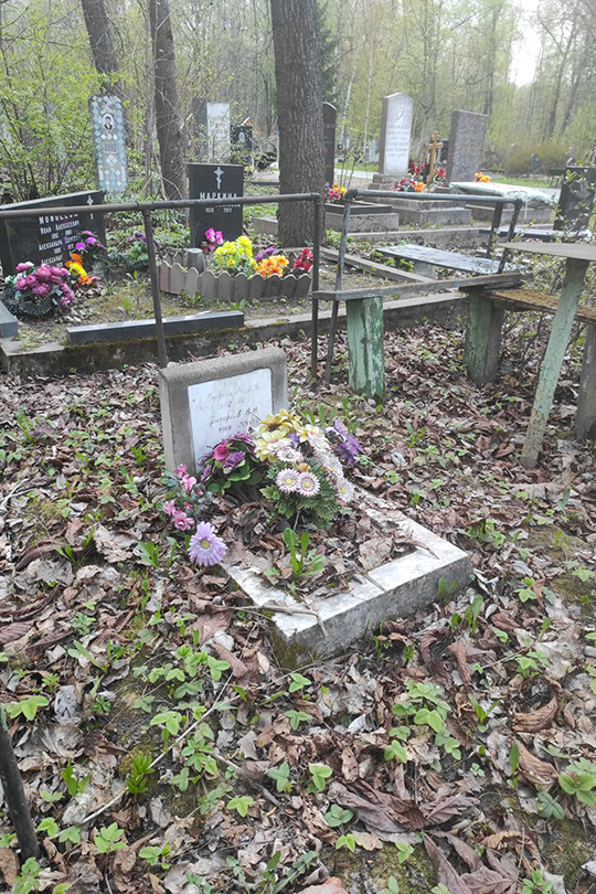 Григорьев В. Н.