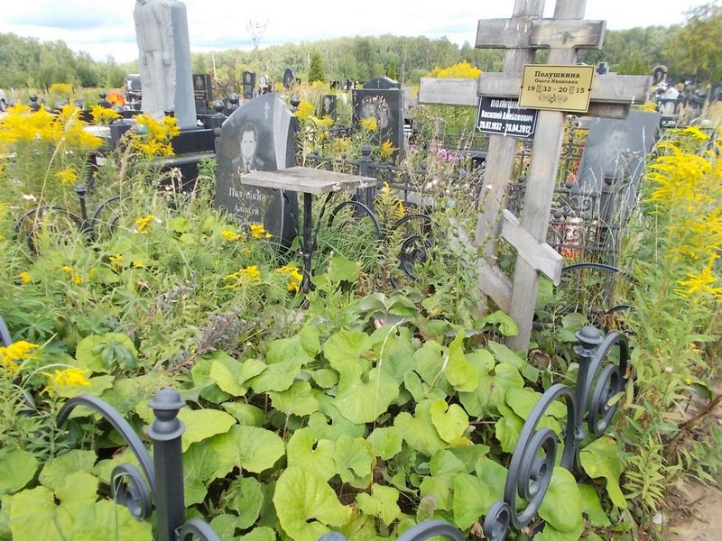 Полушкина Ольга Ивановна