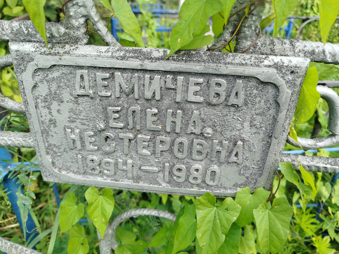 Демичева