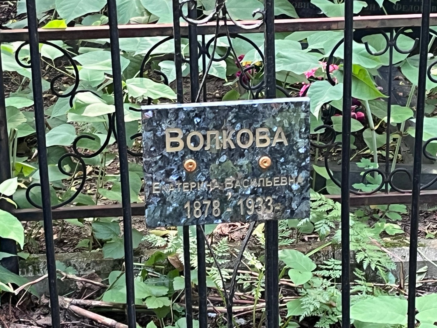 Волкова