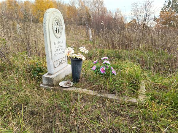 Видякина Надежда Сергеевна