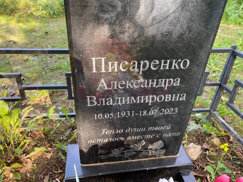 Александра Писаренко Владимировна